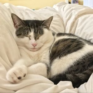 Meet your Posher, Juliana